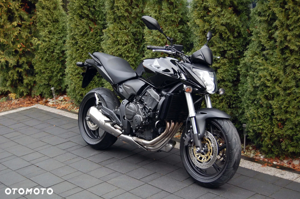 Honda Hornet