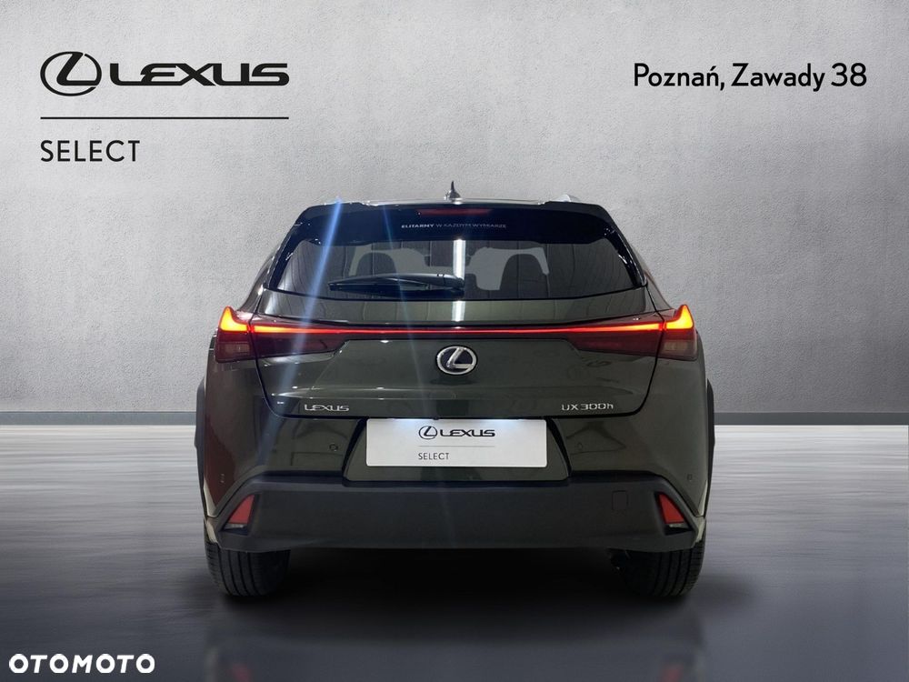 Lexus UX 300h Business - 7