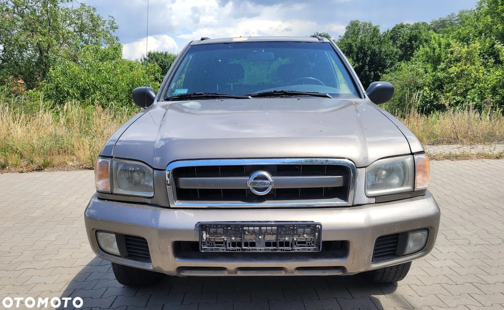 Nissan Pathfinder - 1
