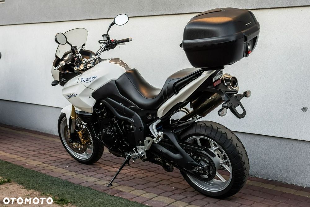 Triumph Tiger - 5