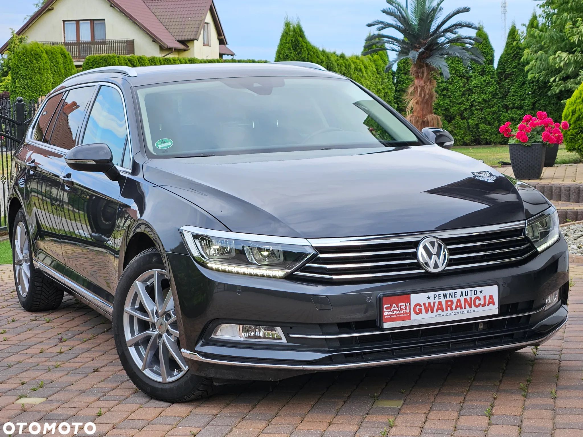 Volkswagen Passat - 1