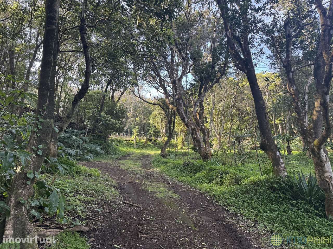 Venda Prédio - Grande imagem: 2/35