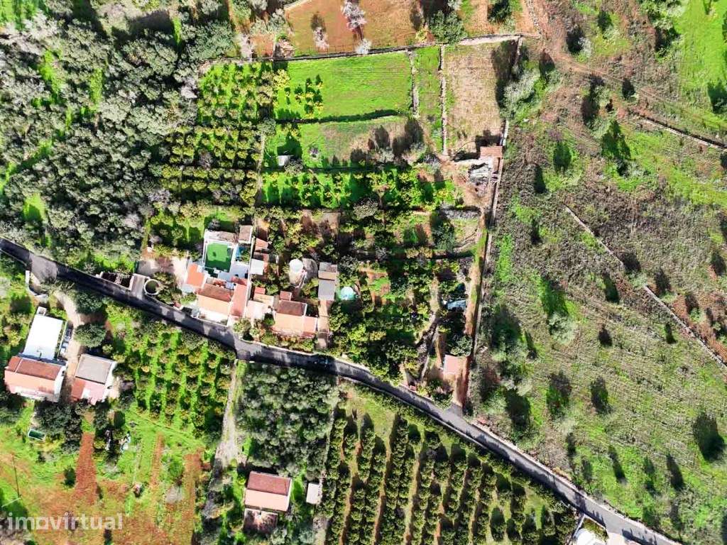 Quinta T3 com 10000 m² de Terreno para venda em Tufos - Silves - Grande imagem: 3/33