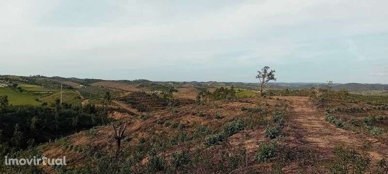 Terreno rustico onde o Algarve toca o Alentejo! - Grande imagem: 3/5