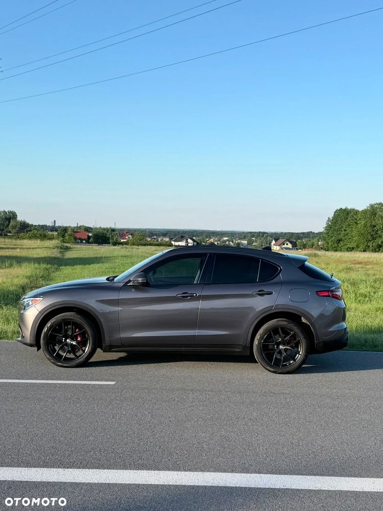 Alfa Romeo Stelvio 2.0 Turbo Veloce Q4 - 2