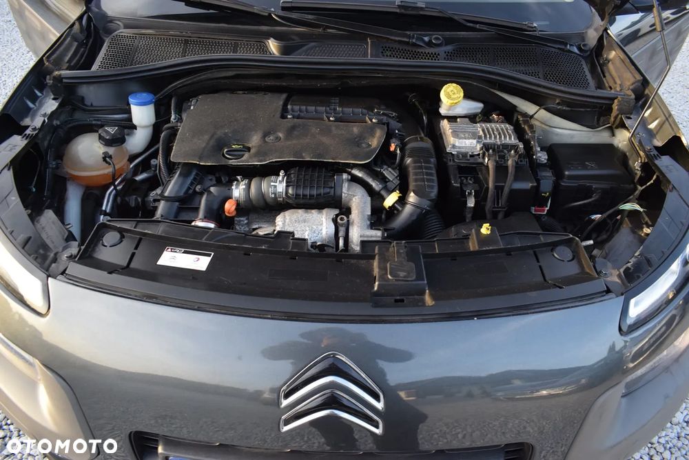 Citroën C4 Cactus 1.6 BlueHDi Live - 30