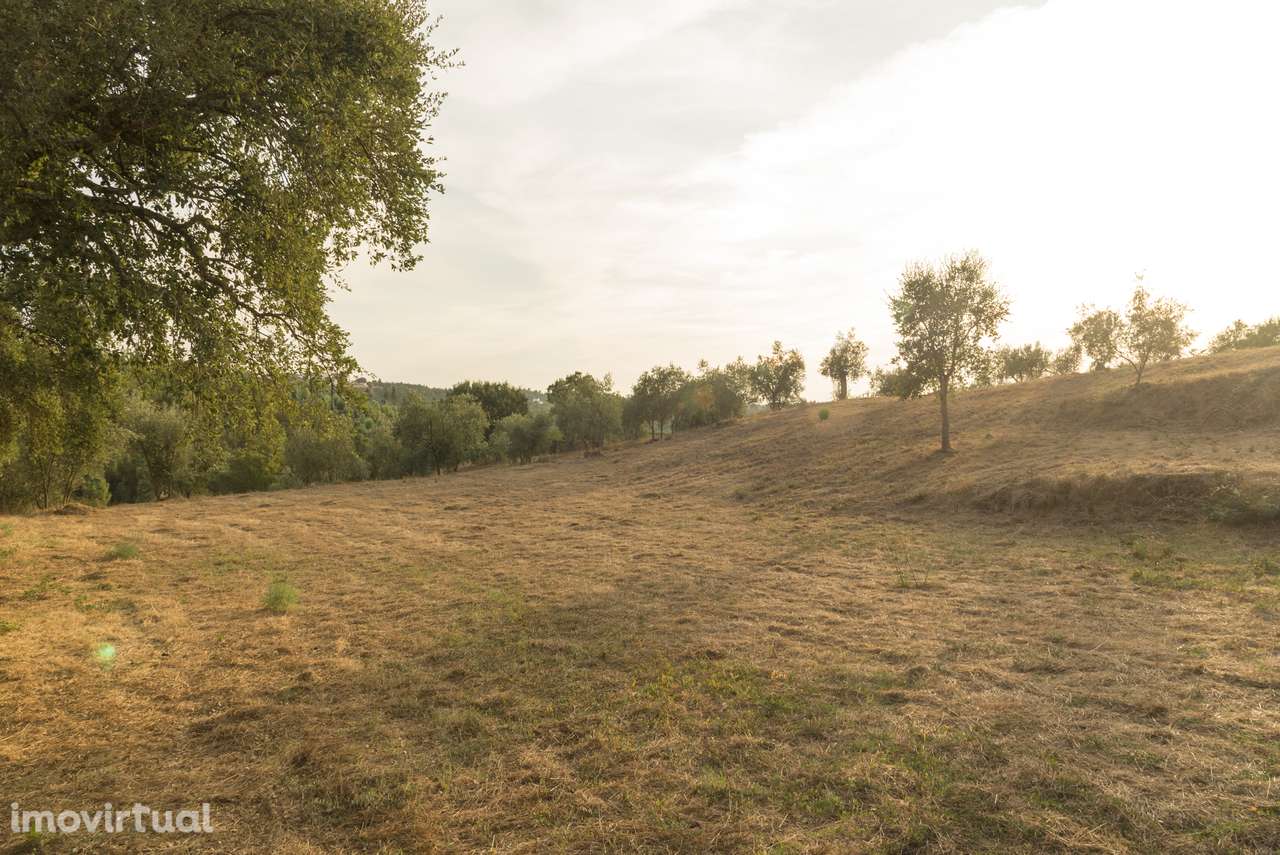1.400 m² com potencial construtivo | Sertã – EN2 - Grande imagem: 2/24
