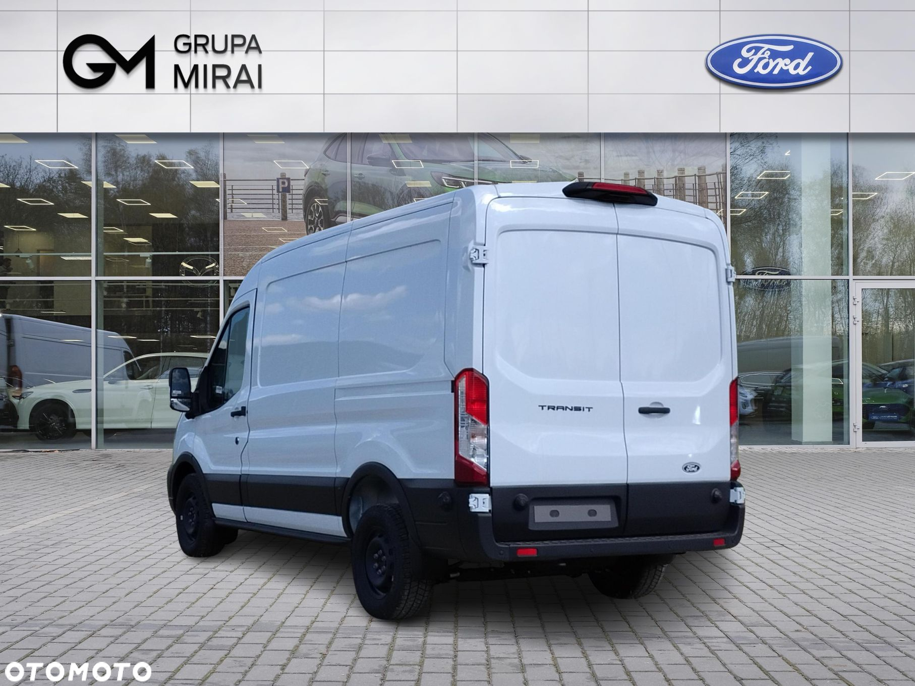 Ford transit - 3
