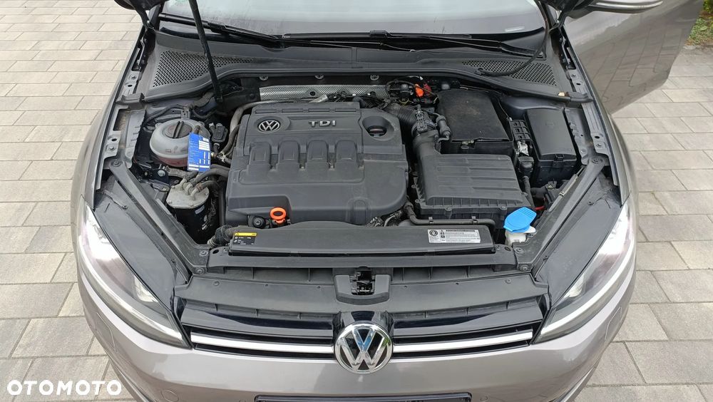 Volkswagen Golf - 24