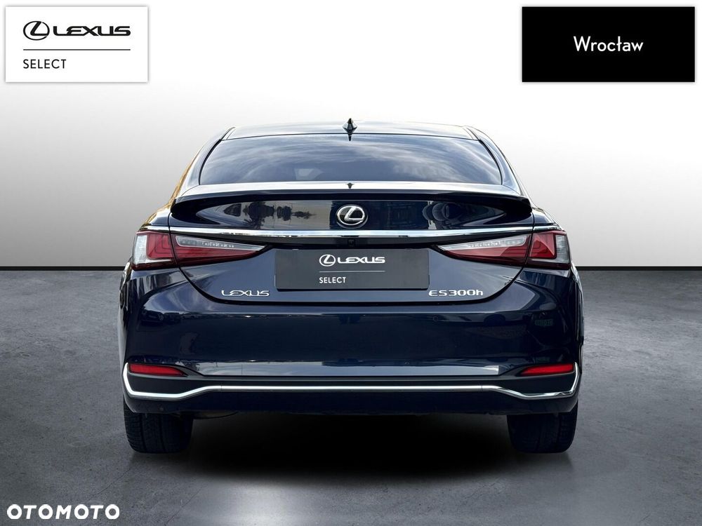 Lexus ES 300h Omotenashi - 4