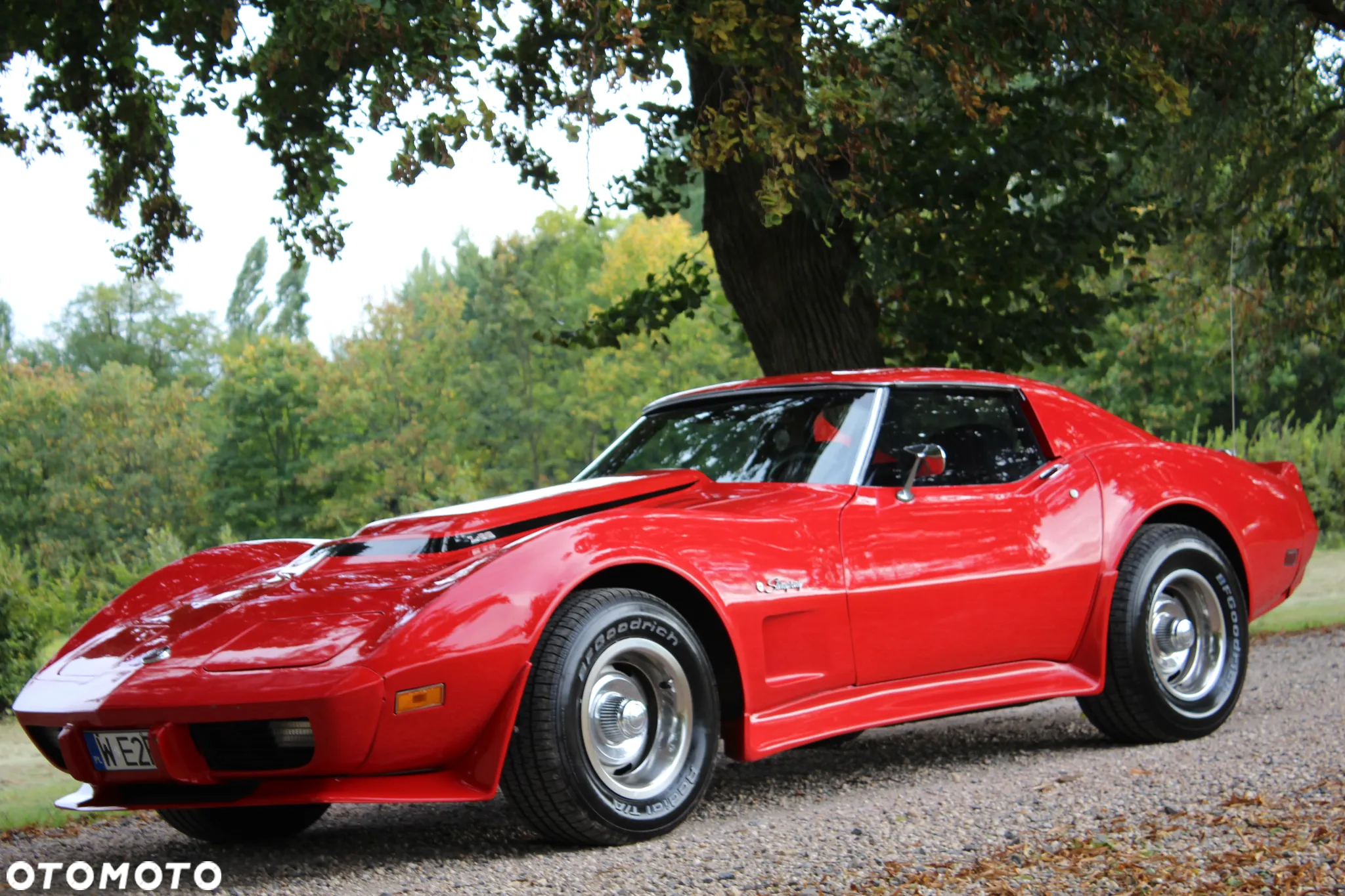Chevrolet Corvette - 2