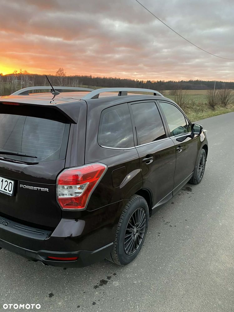 Subaru Forester - 16
