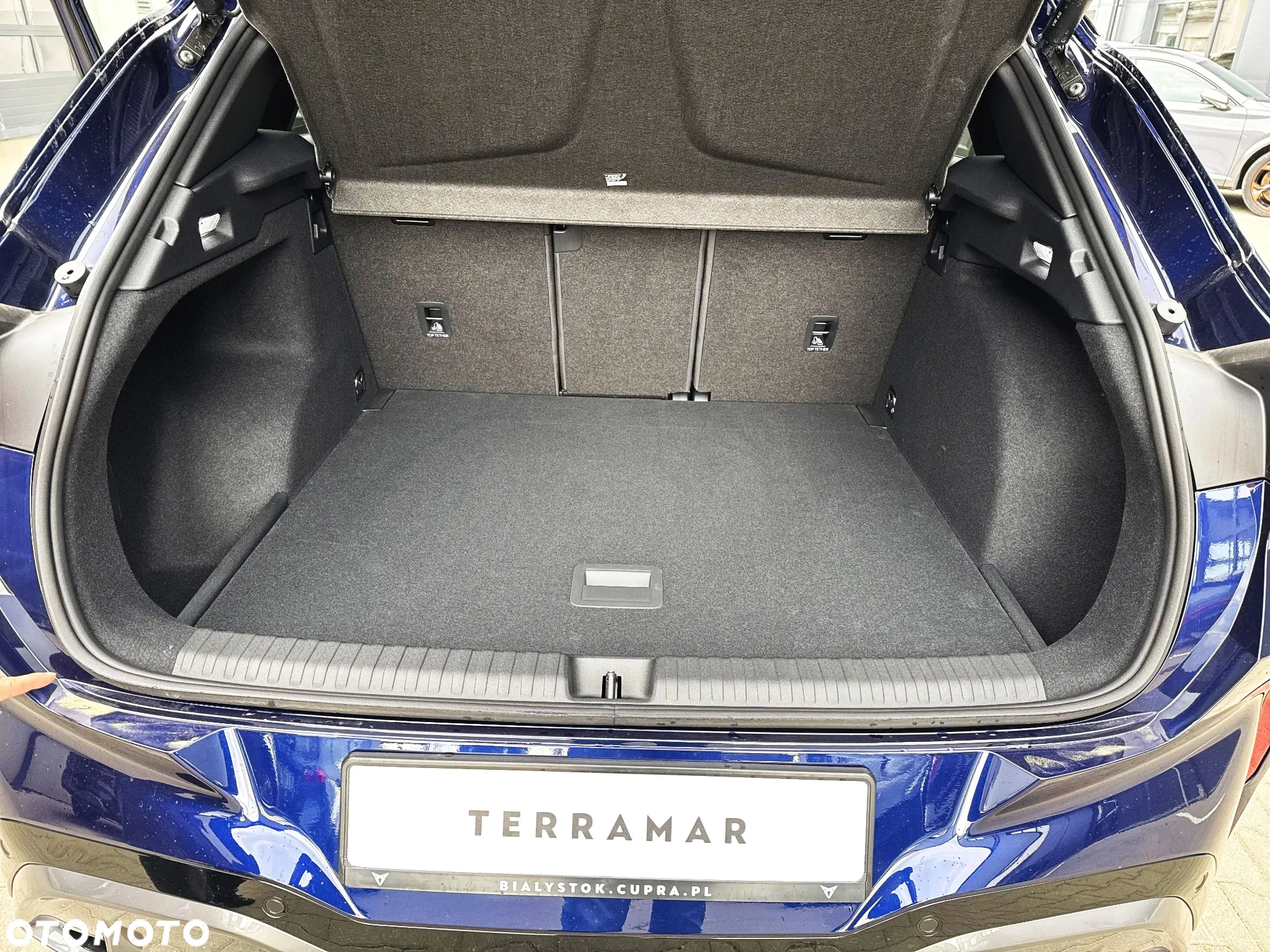 Cupra Terramar 2.0 TSI 4Drive DSG - 16