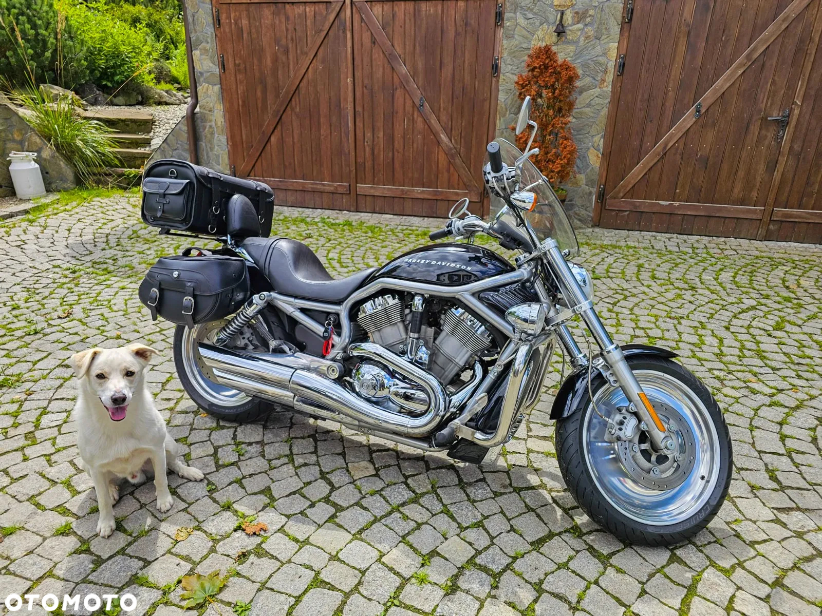 Harley-Davidson V-Rod Street Rod - 2