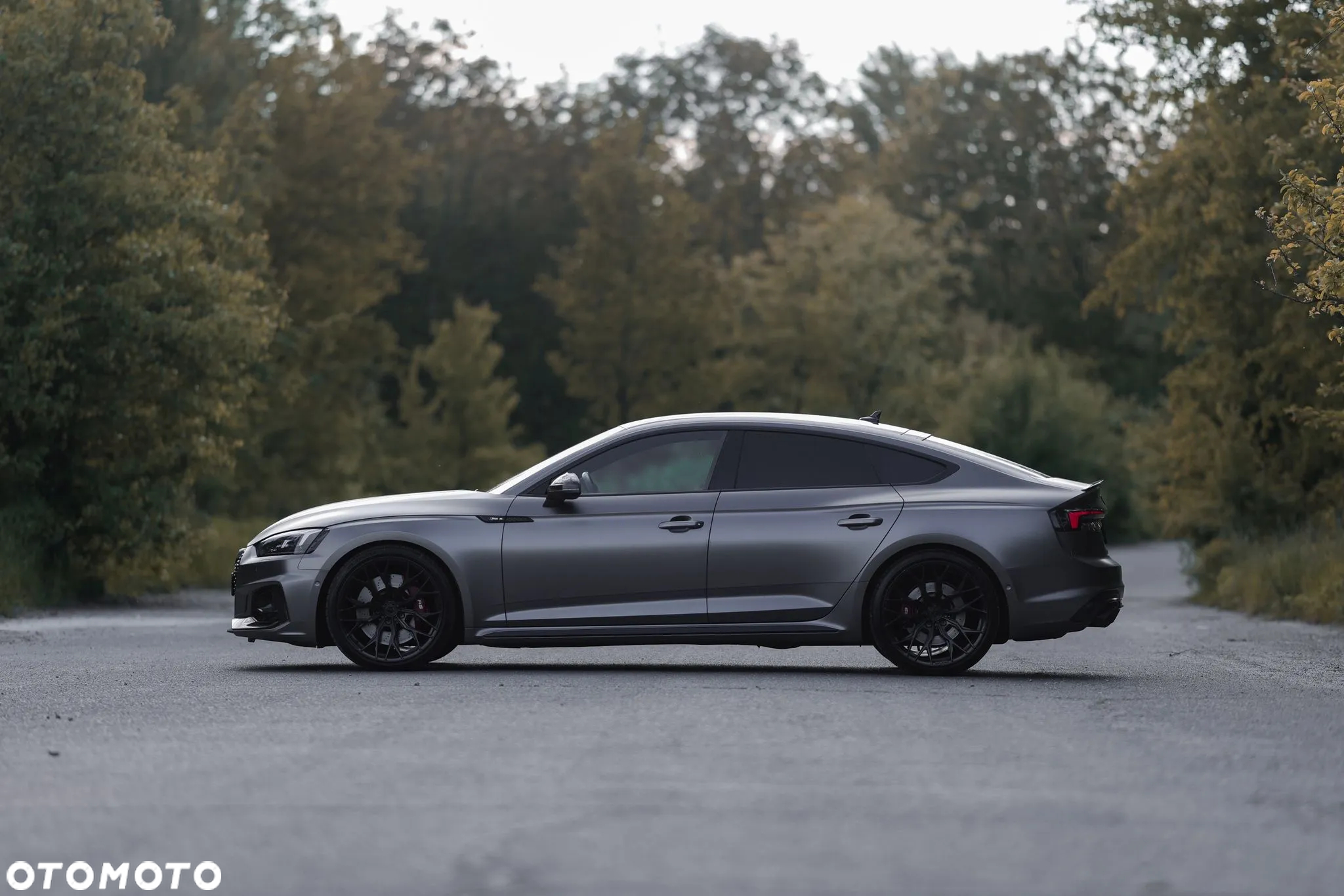 Audi RS5 2.9 TFSI Quattro Tiptronic - 17