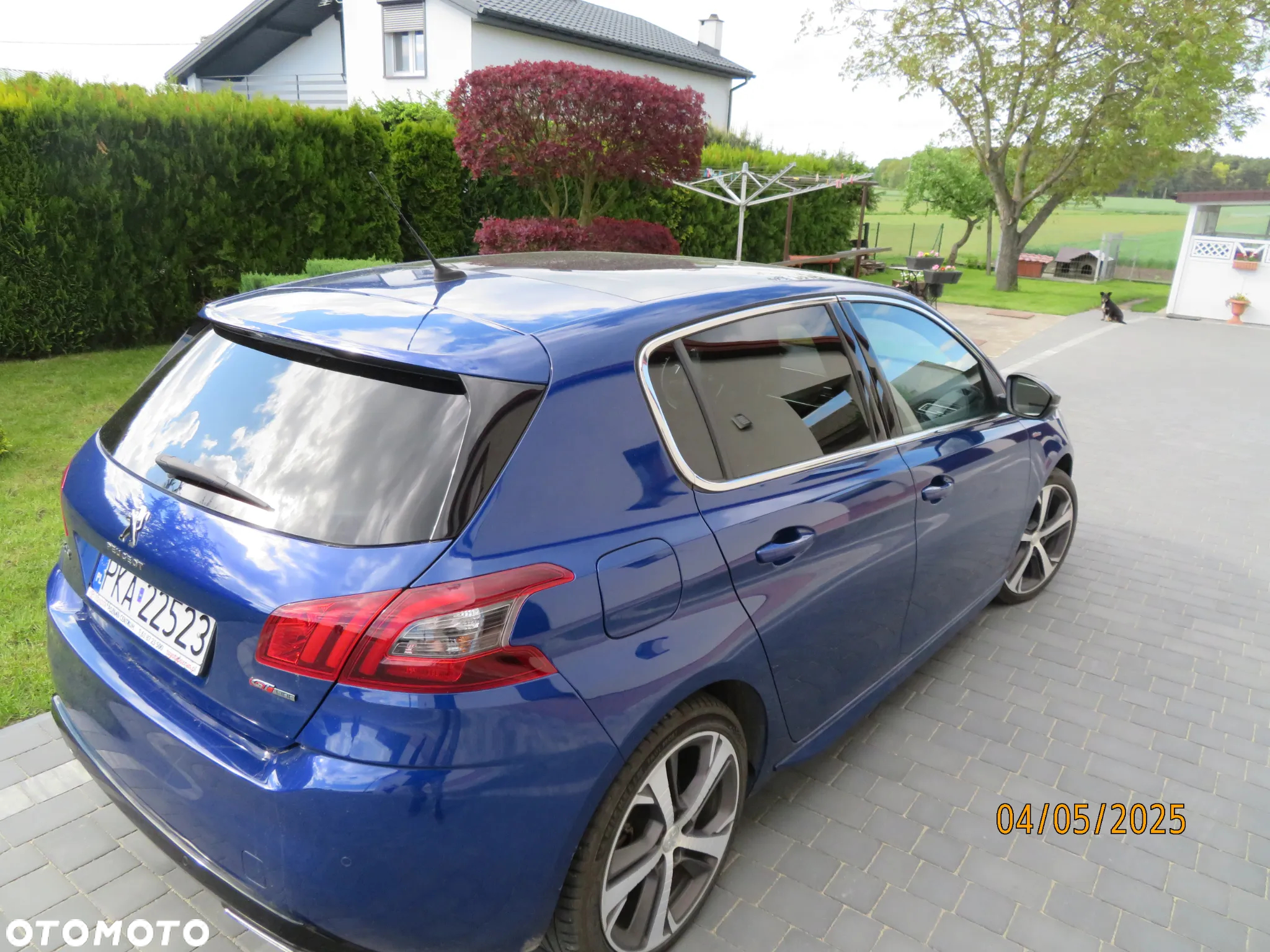 Peugeot 308 1.5 BlueHDi GT Pack S&S EAT8 - 13