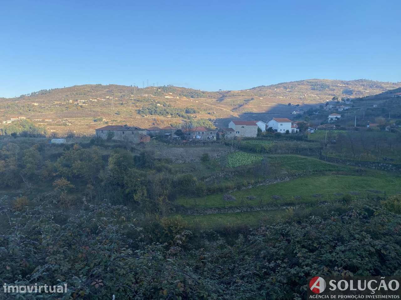 Quintinha com Casa - Próximo ao Douro - Grande imagem: 4/10