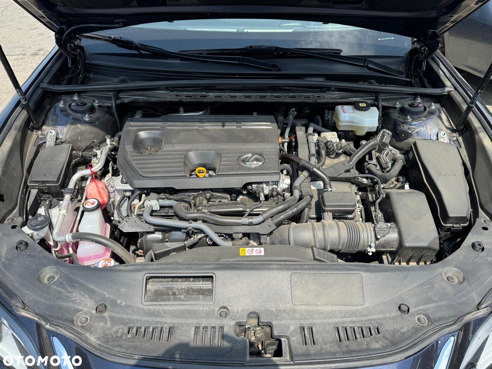 Lexus ES 300h Business Edition + - 12