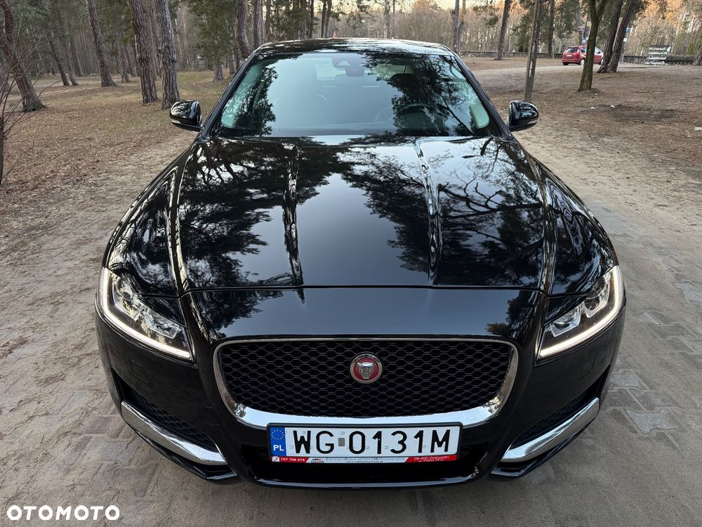 Jaguar XF 3.0 TDV6 Portfolio - 14
