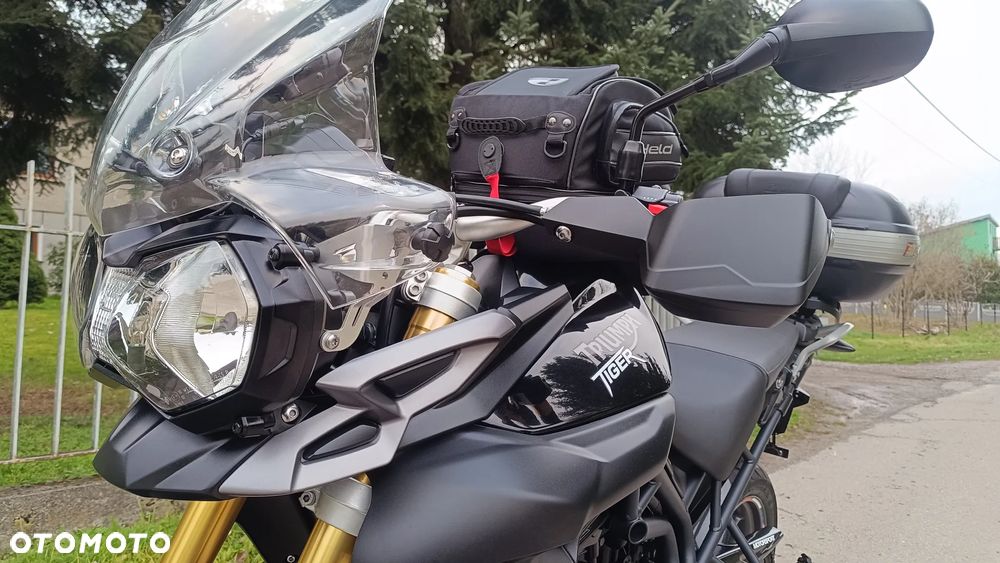 Triumph Tiger - 12