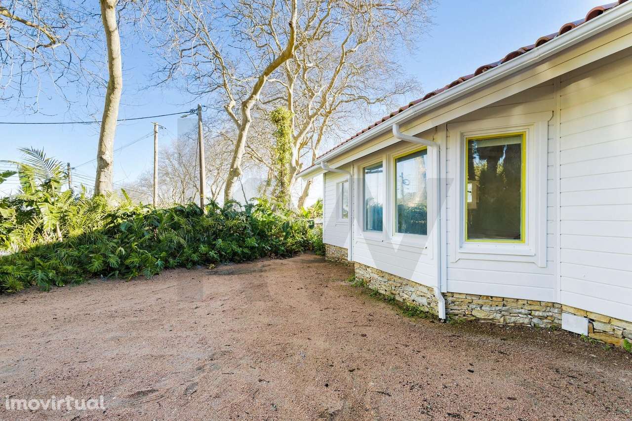 Quinta em Colares, Almoçageme – Entre a Serra de Sintra e o Atlântico - Grande imagem: 3/23