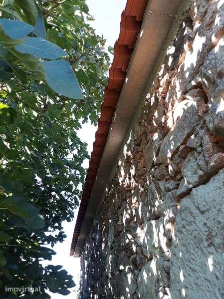 Vendo terreno e casa em Armamar, Queimada - Grande imagem: 4/12