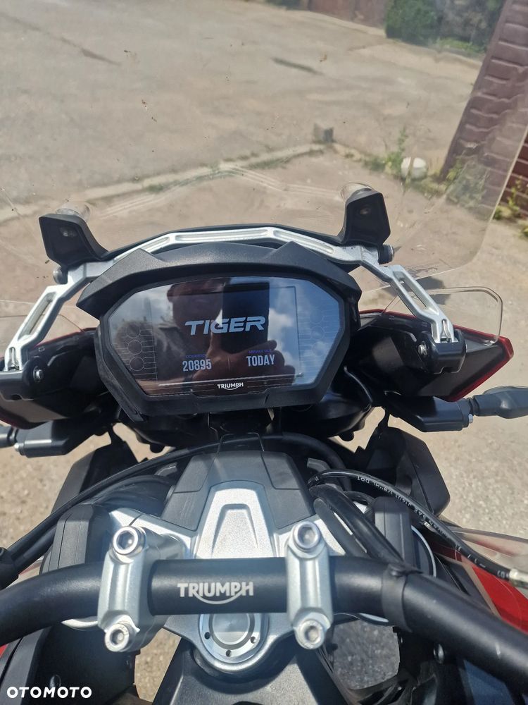 Triumph Tiger - 14
