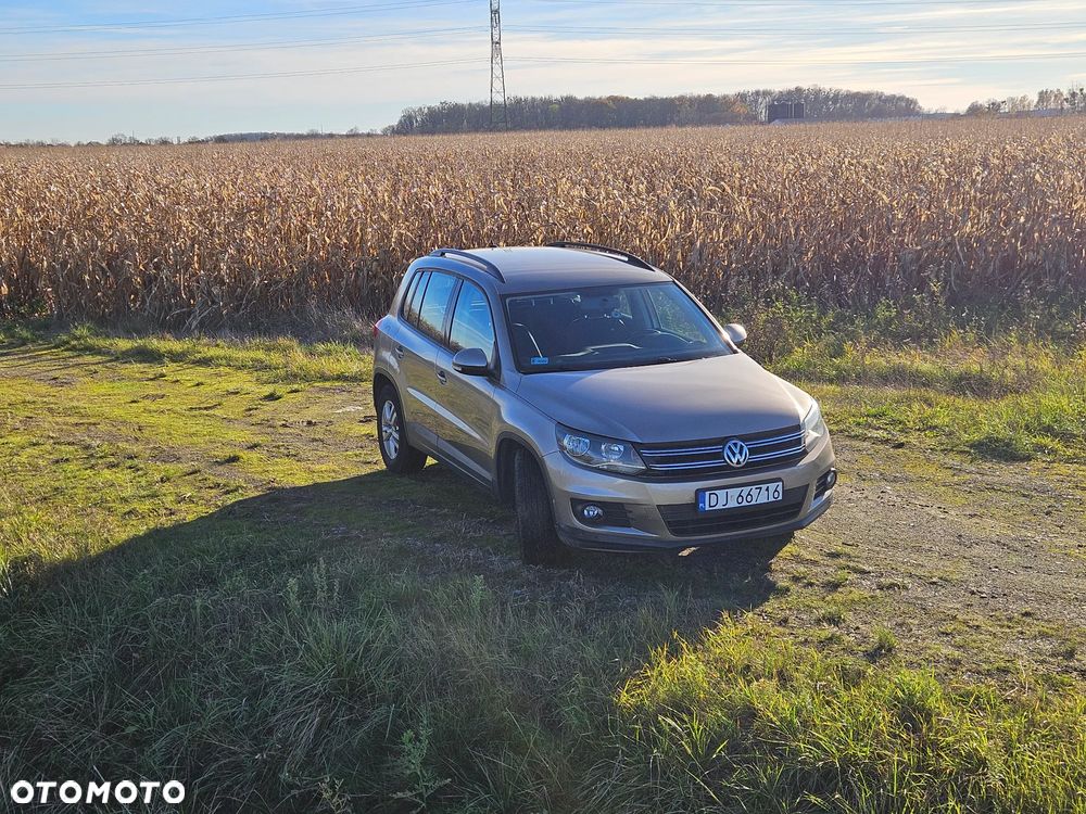 Volkswagen Tiguan - 9