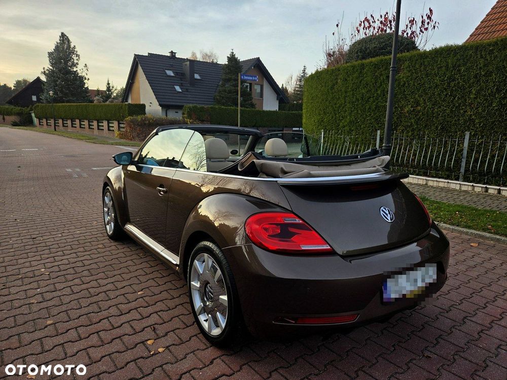 Volkswagen Beetle - 28