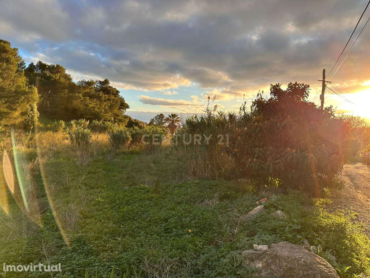 Terreno para Construção vista mar - Caparide | Cascais - Grande imagem: 3/5