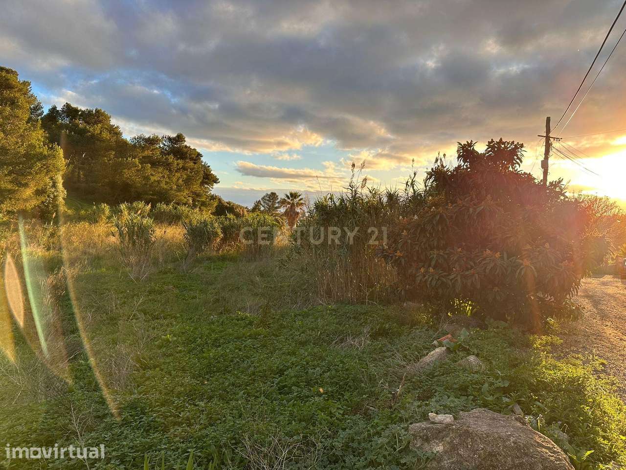 Terreno para Construção vista mar - Caparide | Cascais - Grande imagem: 3/5