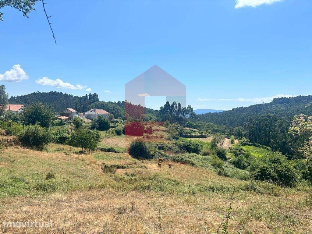 4 Terrenos Agrícolas, Duas Igrejas - Grande imagem: 2/18