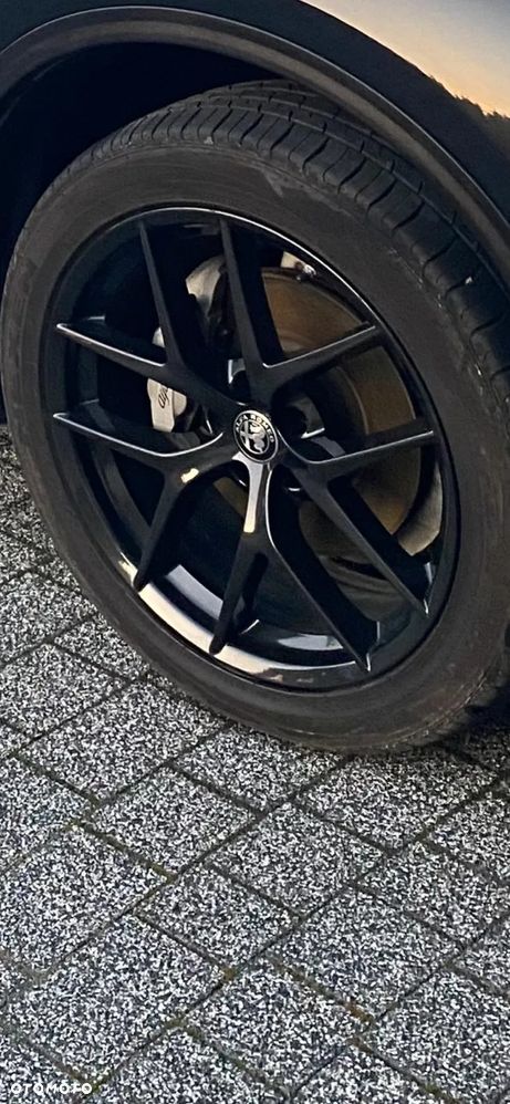 Alfa Romeo Stelvio 2.0 Turbo 16V AT8-Q4 Super - 6