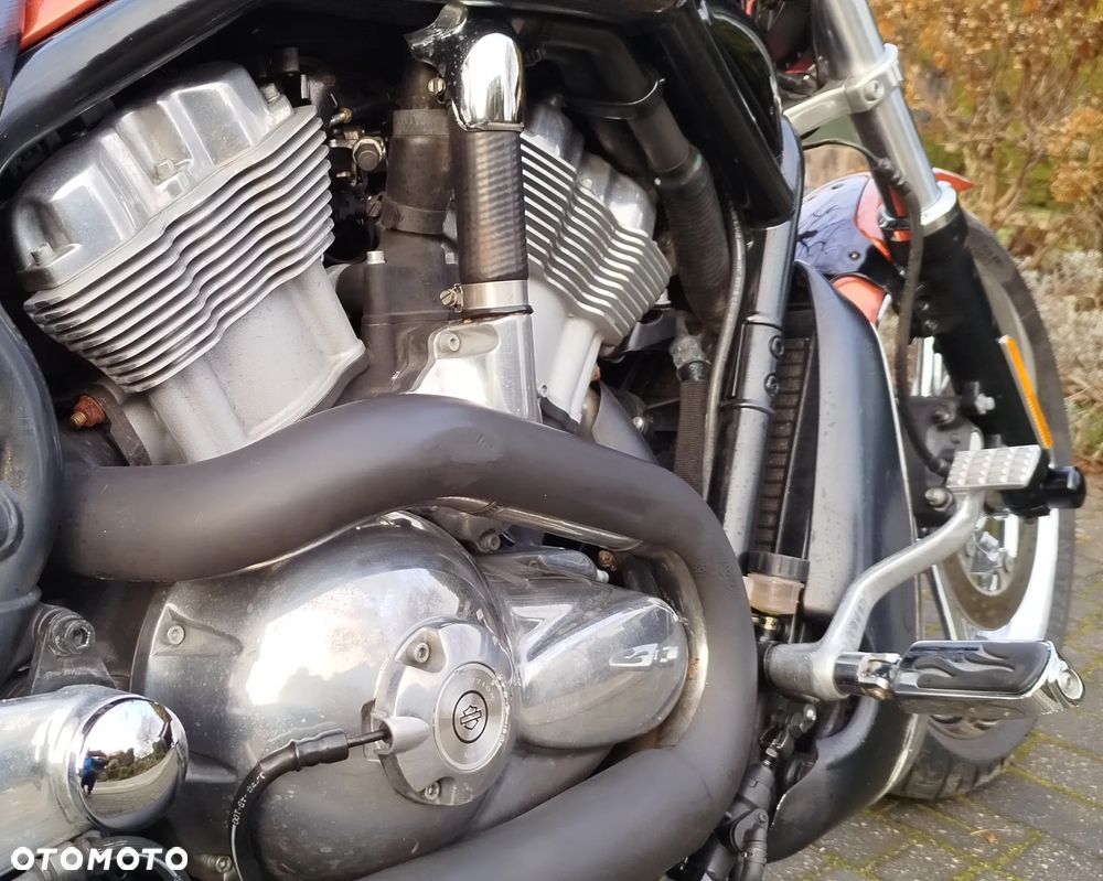 Harley-Davidson Softail V-Rod - 5