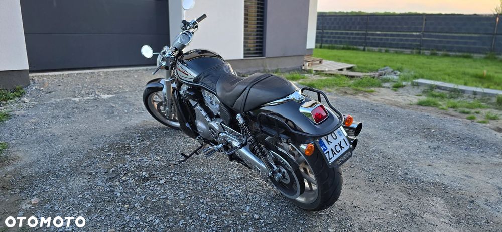 Harley-Davidson V-Rod Street Rod - 11
