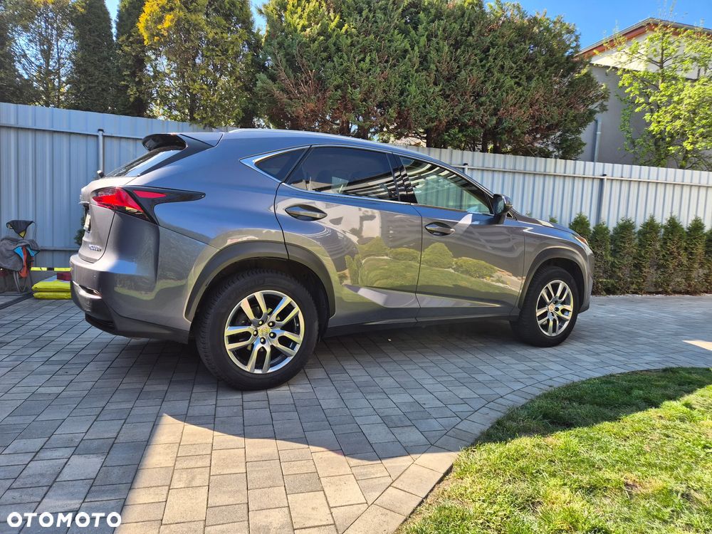 Lexus NX 300h Business Edition AWD - 2