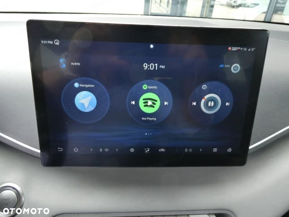 BYD Dolphin Surf - 11