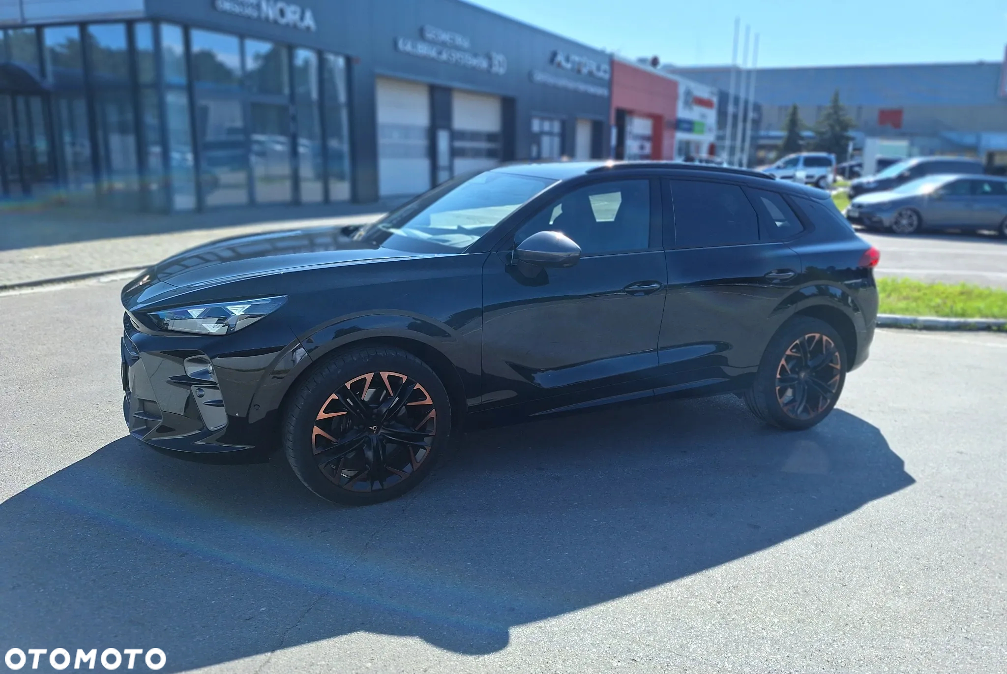 Cupra Terramar 2.0 TSI 4Drive DSG VZ - 6