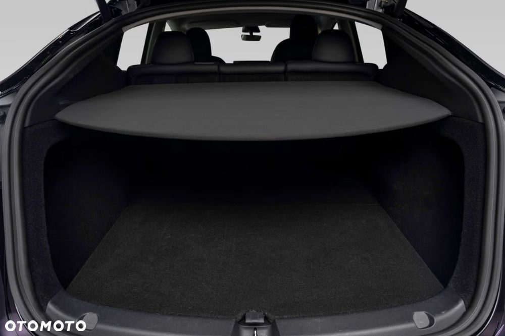 Tesla Model Y Performance Dual Motor AWD - 26