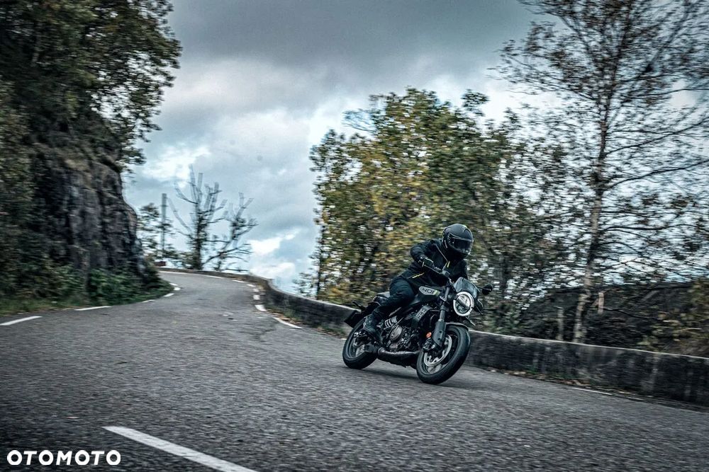 Husqvarna Svartpilen - 4