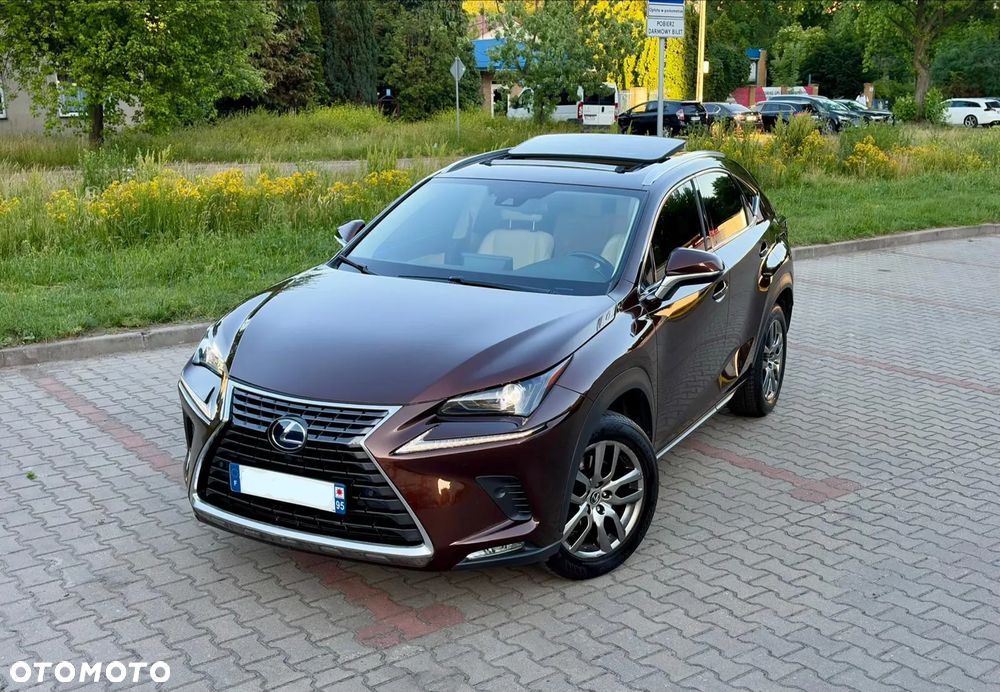 Lexus NX 300h Elite AWD - 10