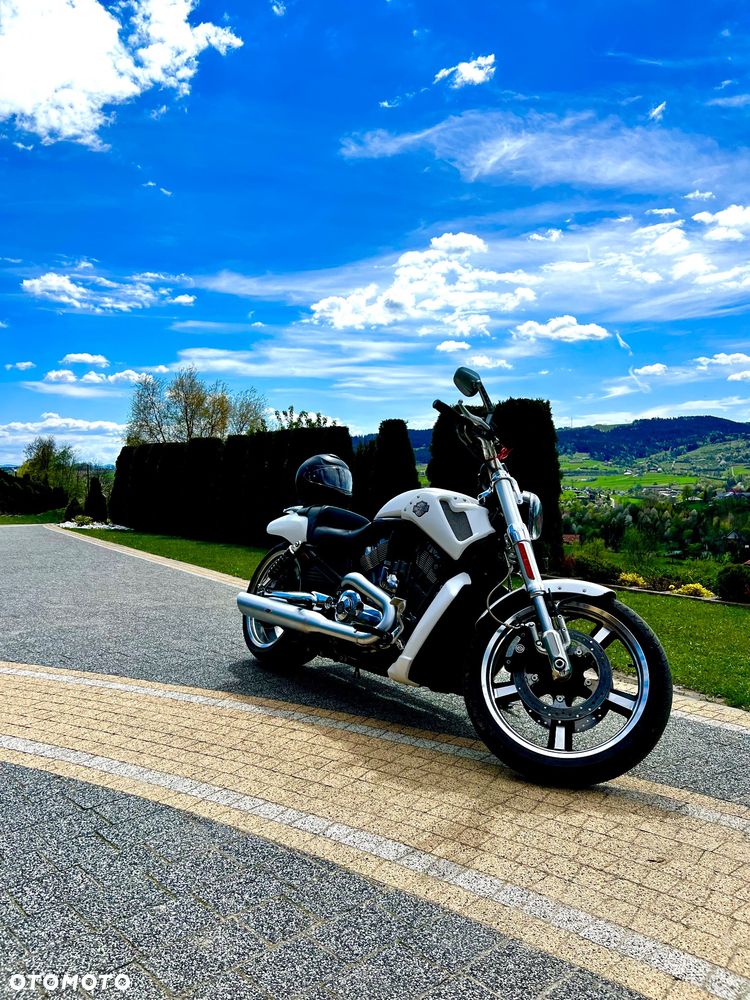 Harley-Davidson V-Rod Muscle - 8