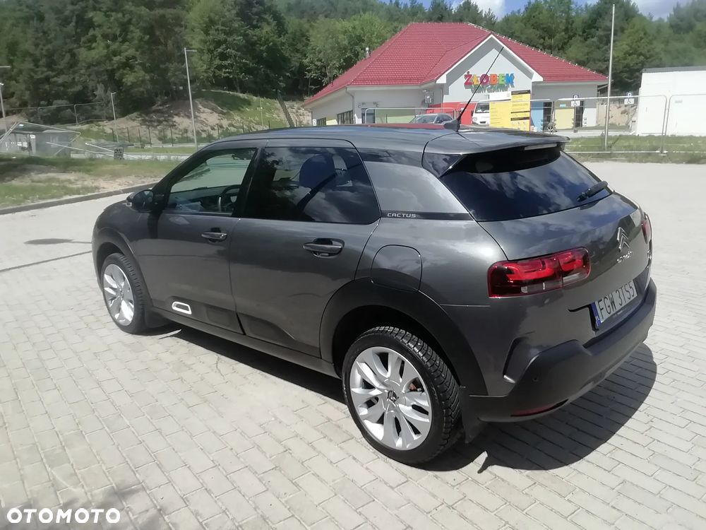 Citroën C4 Cactus 1.2 PureTech GPF Shine S&S EAT6 - 12