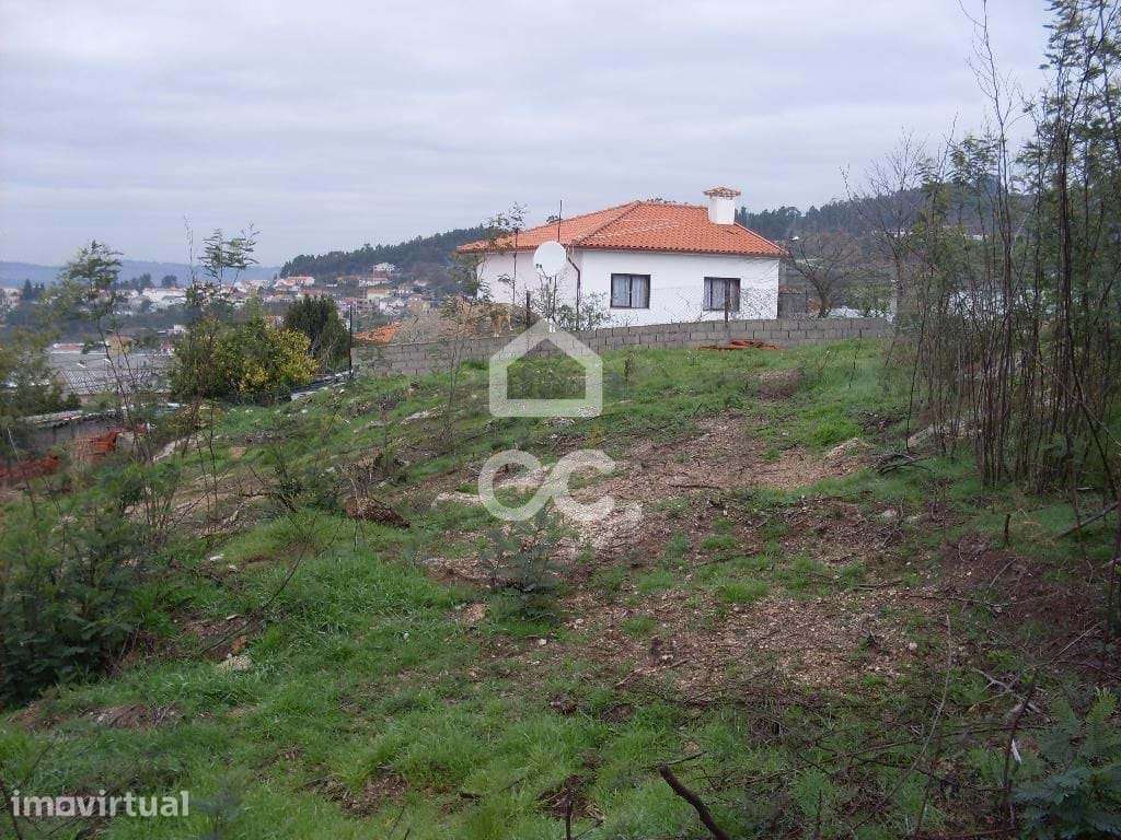 Terreno para moradia - Terreno Construção - Grande imagem: 2/6