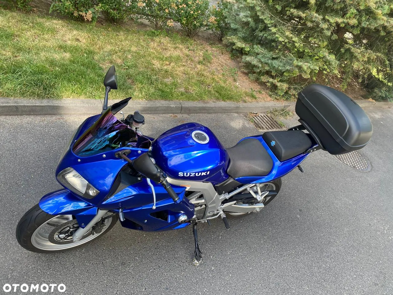 Suzuki SV - 6