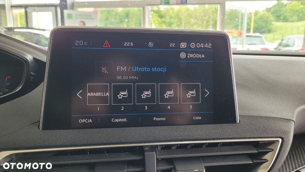 Peugeot 3008 - 29