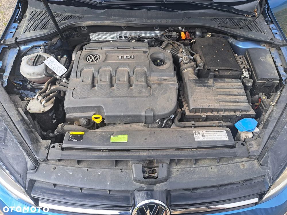 Volkswagen Golf - 26