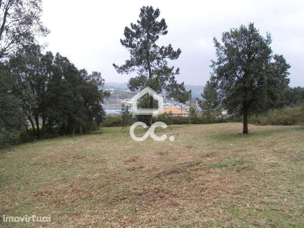 Terreno de Construção em Moreira de Cónegos - Guimarães - Grande imagem: 5/14