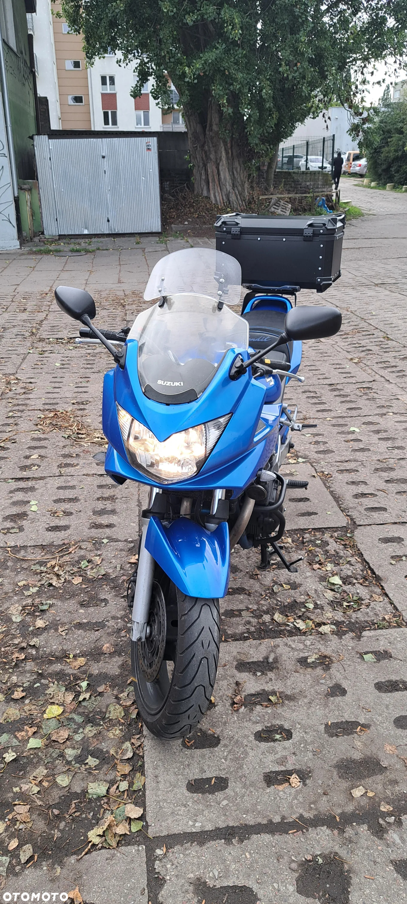 Suzuki Bandit - 8