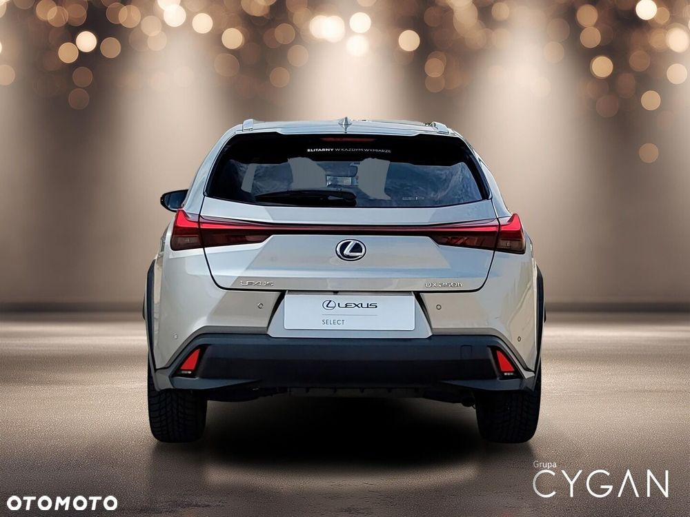 Lexus UX 250h GPF Business 2WD - 6